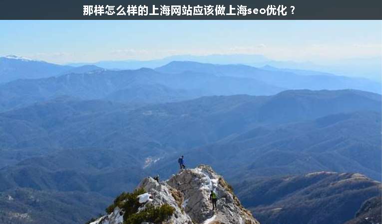 那样怎么样的上海网站应该做上海seo优化？