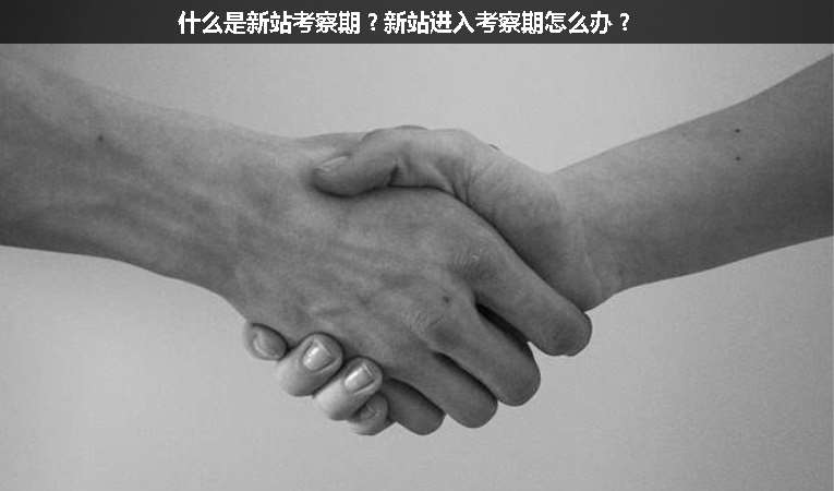 什么是新站考察期？新站进入考察期怎么办？
