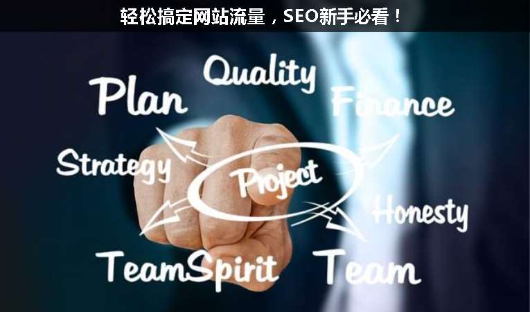 轻松搞定网站流量，SEO优化新手必看！