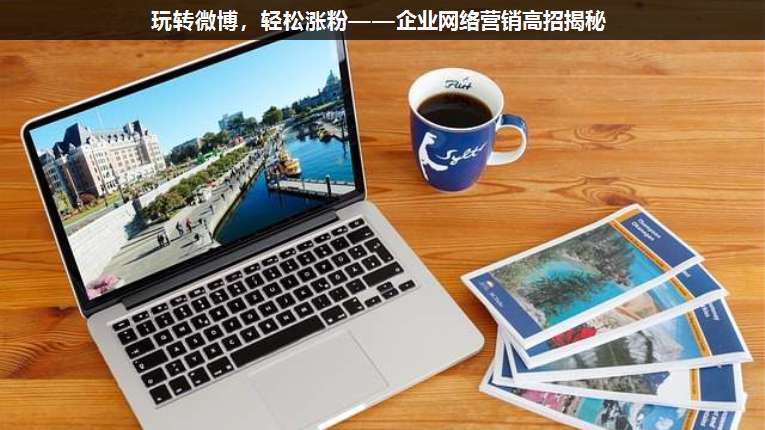玩转微博,轻松涨粉——企业网络营销高招揭秘