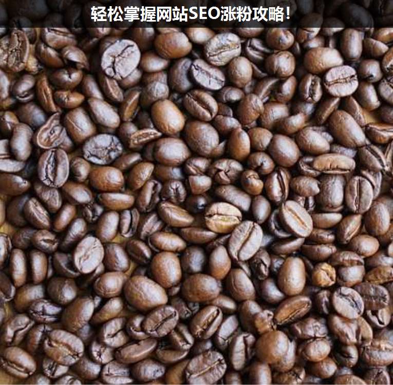 轻松掌握网站SEO涨粉攻略!