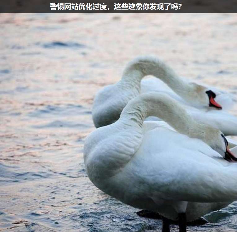 警惕网站优化过度,这些迹象你发现了吗?