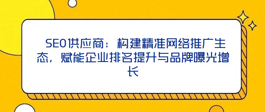  SEO供应商：构建精准网络推广生态，赋能企业排名提升与品牌曝光增长