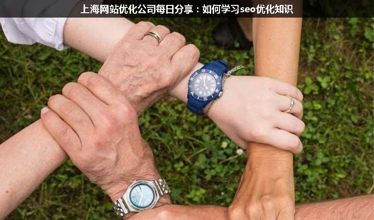 上海网站优化公司每日分享：如何学习seo优化知识